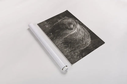 British Columbia Grizzly in a Field BW by Nathan Larson. shown as a rolled paper print. Available as archival giclee rolled canvas, fine art paper, or poster print. SKU 92563i.
