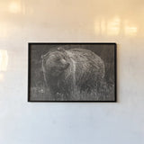 British Columbia Grizzly in a Field BW by Nathan Larson. shown as a paper print in a black flame. Available as a archival giclee rolled canvas, fine art paper, or poster print. SKU 92563i.