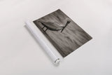 Brown Pelican by Nathan Larson. shown as a rolled paper print. Available as archival giclee rolled canvas, fine art paper, or poster print. SKU 97884i.