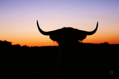 Bull Set by Nathan Larson. SKU 70279i. Archival Giclee Fine art print for wall decor.