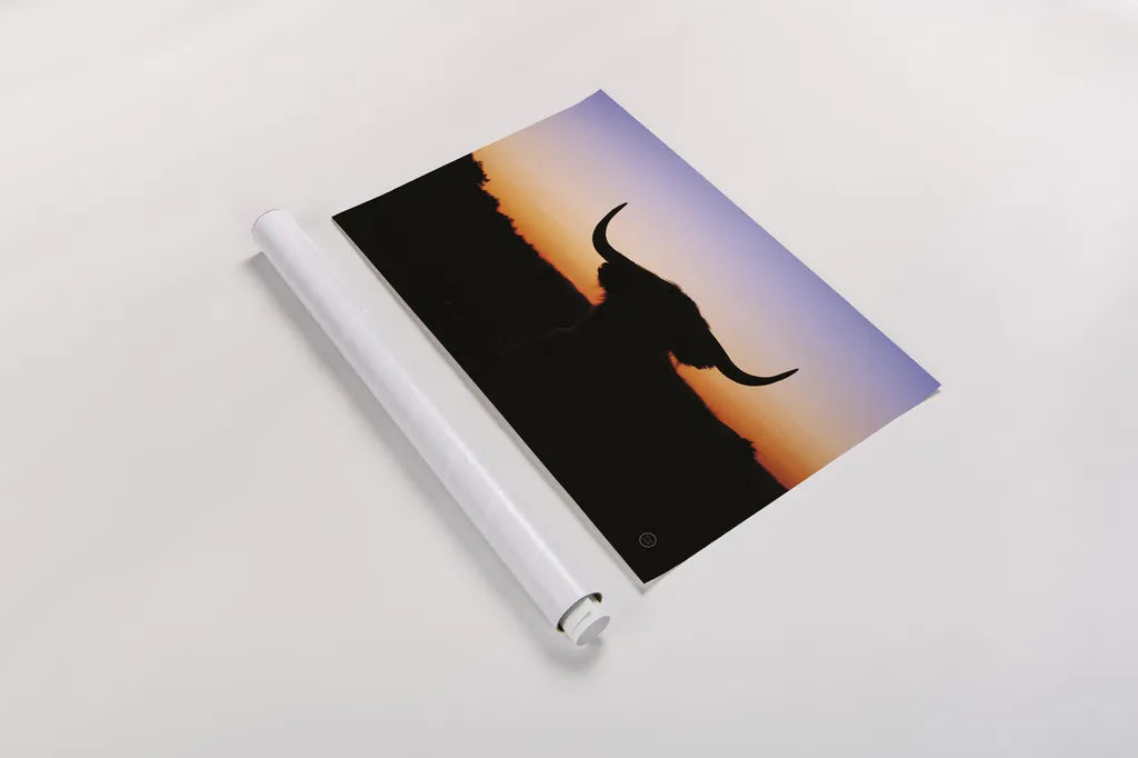 Bull Set by Nathan Larson. shown as a rolled paper print. Available as archival giclee rolled canvas, fine art paper, or poster print. SKU 70279i.