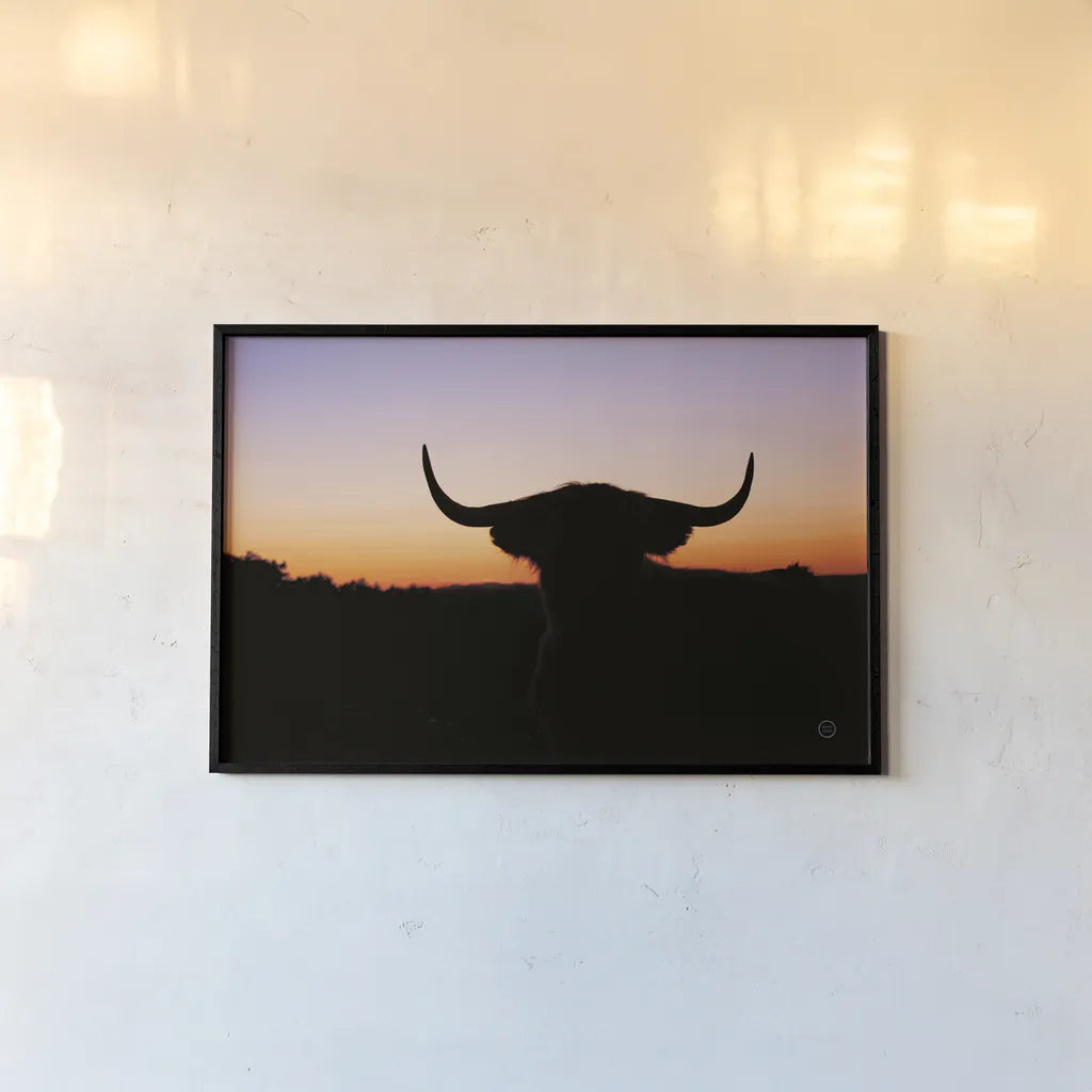 Bull Set by Nathan Larson. shown as a paper print in a black flame. Available as a archival giclee rolled canvas, fine art paper, or poster print. SKU 70279i.