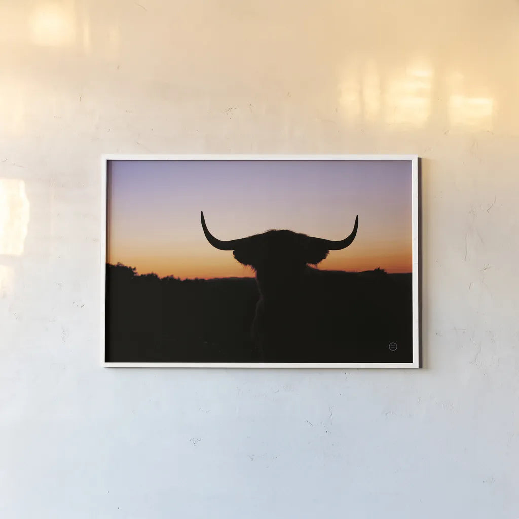 Bull Set by Nathan Larson. shown as a paper print in a white frame. Available as a archival giclee rolled canvas, fine art paper, or poster print. SKU 70279i.