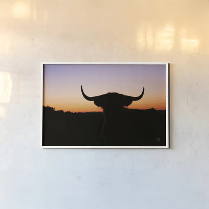Bull Set by Nathan Larson. shown as a paper print in a white frame. Available as a archival giclee rolled canvas, fine art paper, or poster print. SKU 70279i.