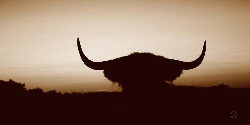 Bull Set Sepia Crop by Nathan Larson