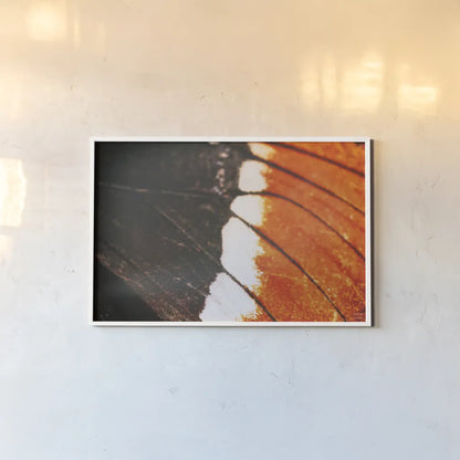 Butterly Effect II by Nathan Larson. shown as a paper print in a white frame. Available as a archival giclee rolled canvas, fine art paper, or poster print. SKU 96859i.