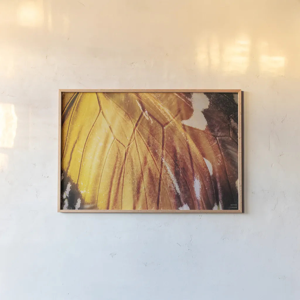 Butterly Effect IV by Nathan Larson. shown as a paper print in a natural frame. Available as a archival giclee rolled canvas, fine art paper, or poster print. SKU 96861i.