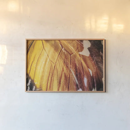 Butterly Effect IV by Nathan Larson. shown as a paper print in a natural frame. Available as a archival giclee rolled canvas, fine art paper, or poster print. SKU 96861i.