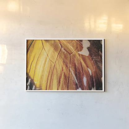 Butterly Effect IV by Nathan Larson. shown as a paper print in a white frame. Available as a archival giclee rolled canvas, fine art paper, or poster print. SKU 96861i.