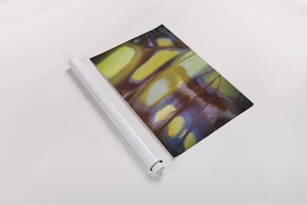 Butterly Effect XII by Nathan Larson. shown as a rolled paper print. Available as archival giclee rolled canvas, fine art paper, or poster print. SKU 96860i.