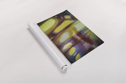 Butterly Effect XII by Nathan Larson. shown as a rolled paper print. Available as archival giclee rolled canvas, fine art paper, or poster print. SKU 96860i.