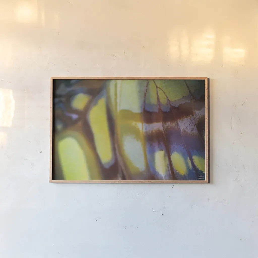 Butterly Effect XII by Nathan Larson. shown as a paper print in a natural frame. Available as a archival giclee rolled canvas, fine art paper, or poster print. SKU 96860i.