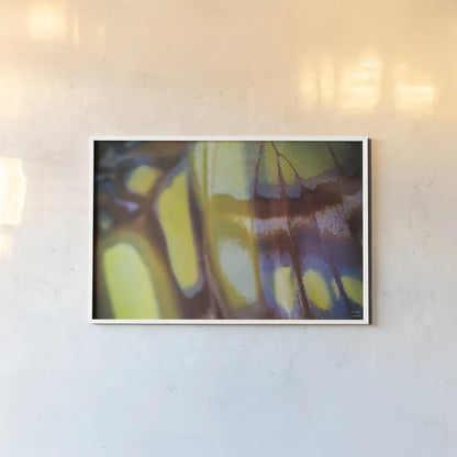 Butterly Effect XII by Nathan Larson. shown as a paper print in a white frame. Available as a archival giclee rolled canvas, fine art paper, or poster print. SKU 96860i.