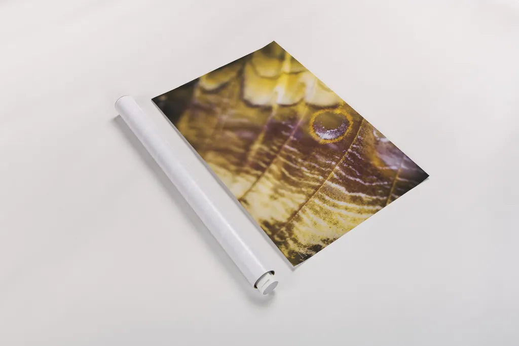 Butterly Effect XVII by Nathan Larson. shown as a rolled paper print. Available as archival giclee rolled canvas, fine art paper, or poster print. SKU 96863i.