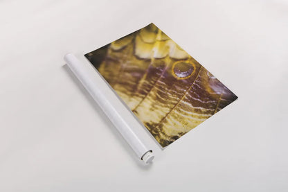 Butterly Effect XVII by Nathan Larson. shown as a rolled paper print. Available as archival giclee rolled canvas, fine art paper, or poster print. SKU 96863i.