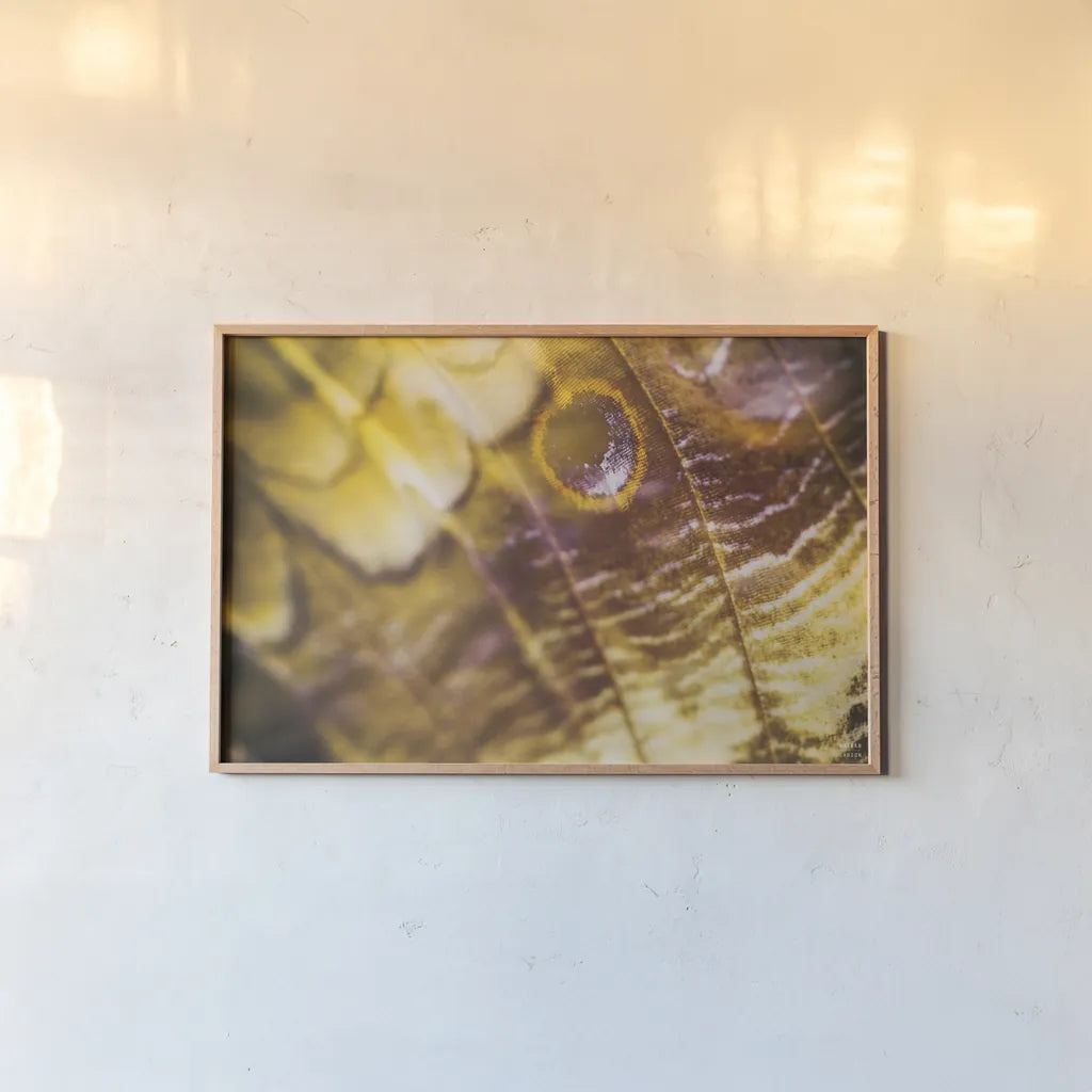 Butterly Effect XVII by Nathan Larson. shown as a paper print in a natural frame. Available as a archival giclee rolled canvas, fine art paper, or poster print. SKU 96863i.
