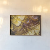 Butterly Effect XVII by Nathan Larson. shown as a paper print in a natural frame. Available as a archival giclee rolled canvas, fine art paper, or poster print. SKU 96863i.