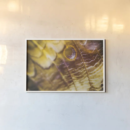 Butterly Effect XVII by Nathan Larson. shown as a paper print in a white frame. Available as a archival giclee rolled canvas, fine art paper, or poster print. SKU 96863i.