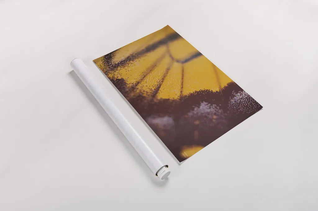 Butterly Effect XXIII by Nathan Larson. shown as a rolled paper print. Available as archival giclee rolled canvas, fine art paper, or poster print. SKU 96862i.