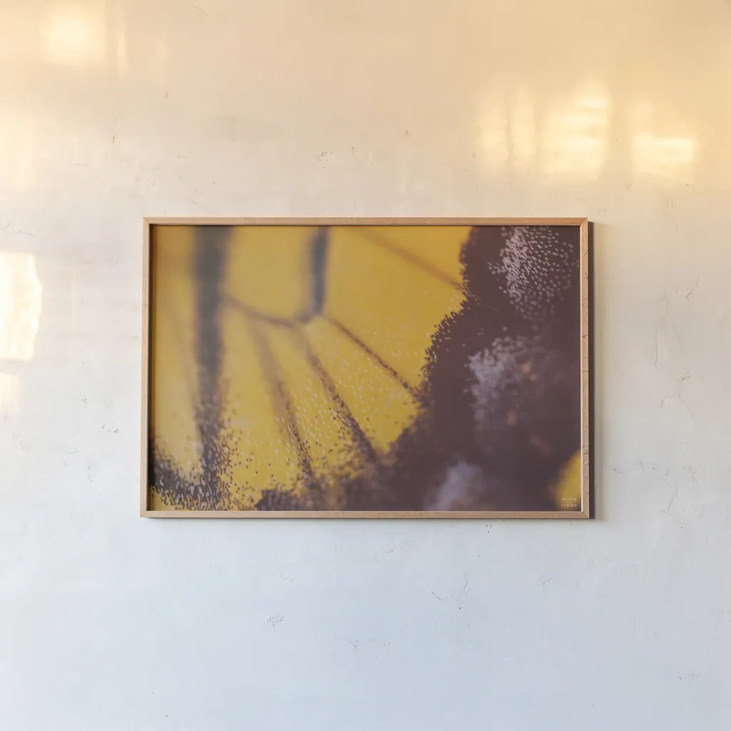 Butterly Effect XXIII by Nathan Larson. shown as a paper print in a natural frame. Available as a archival giclee rolled canvas, fine art paper, or poster print. SKU 96862i.