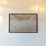 Cactus Sunset by Nathan Larson. shown as a paper print in a black flame. Available as a archival giclee rolled canvas, fine art paper, or poster print. SKU 103244i.