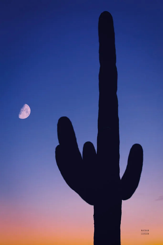 Candy Rock Desert by Nathan Larson. SKU 76427h. Archival Giclee Fine art print for wall decor.