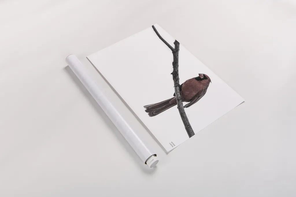 Cardinal on the Mississippi Neutral by Nathan Larson. shown as a rolled paper print. Available as archival giclee rolled canvas, fine art paper, or poster print. SKU 98336i.