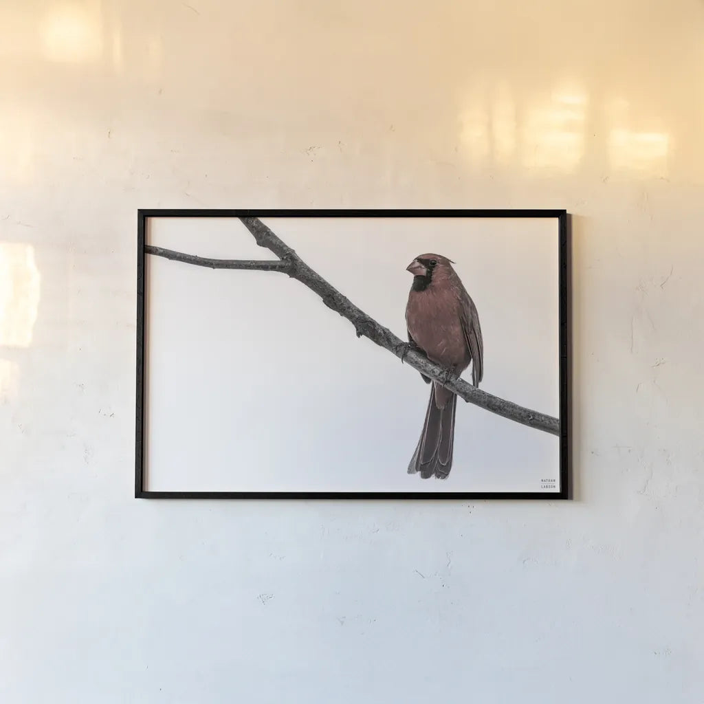 Cardinal on the Mississippi Neutral by Nathan Larson. shown as a paper print in a black flame. Available as a archival giclee rolled canvas, fine art paper, or poster print. SKU 98336i.