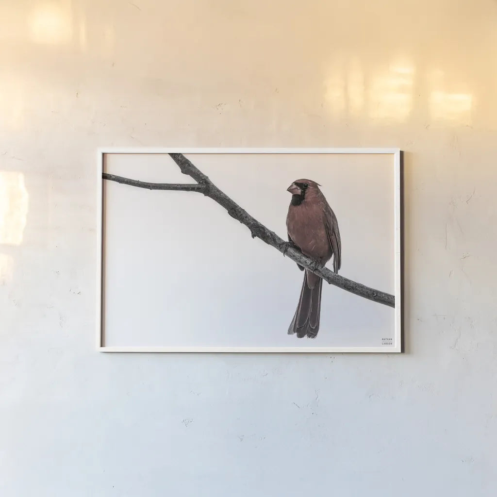 Cardinal on the Mississippi Neutral by Nathan Larson. shown as a paper print in a white frame. Available as a archival giclee rolled canvas, fine art paper, or poster print. SKU 98336i.