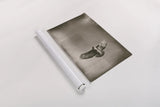 Catch and Fly by Nathan Larson. shown as a rolled paper print. Available as archival giclee rolled canvas, fine art paper, or poster print. SKU 83986i.
