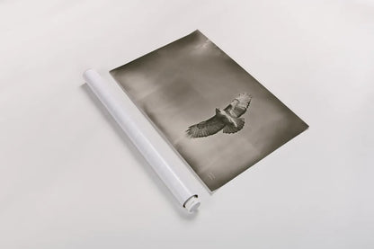 Catch and Fly by Nathan Larson. shown as a rolled paper print. Available as archival giclee rolled canvas, fine art paper, or poster print. SKU 83986i.