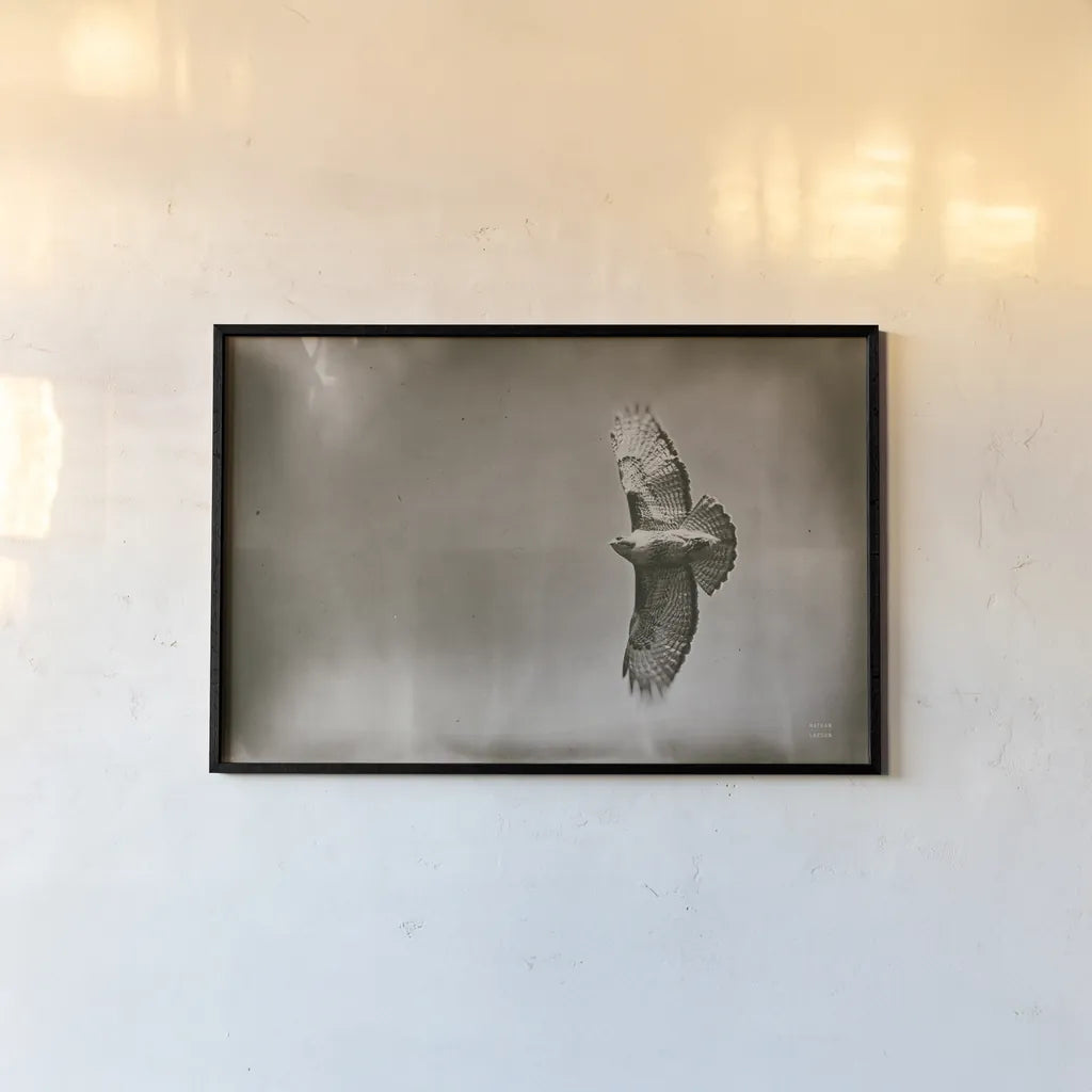 Catch and Fly by Nathan Larson. shown as a paper print in a black flame. Available as a archival giclee rolled canvas, fine art paper, or poster print. SKU 83986i.