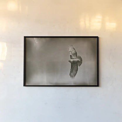 Catch and Fly by Nathan Larson. shown as a paper print in a black flame. Available as a archival giclee rolled canvas, fine art paper, or poster print. SKU 83986i.