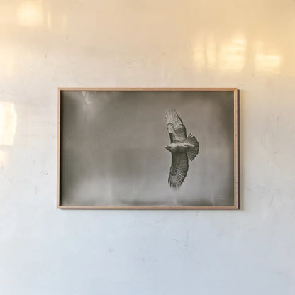 Catch and Fly by Nathan Larson. shown as a paper print in a natural frame. Available as a archival giclee rolled canvas, fine art paper, or poster print. SKU 83986i.