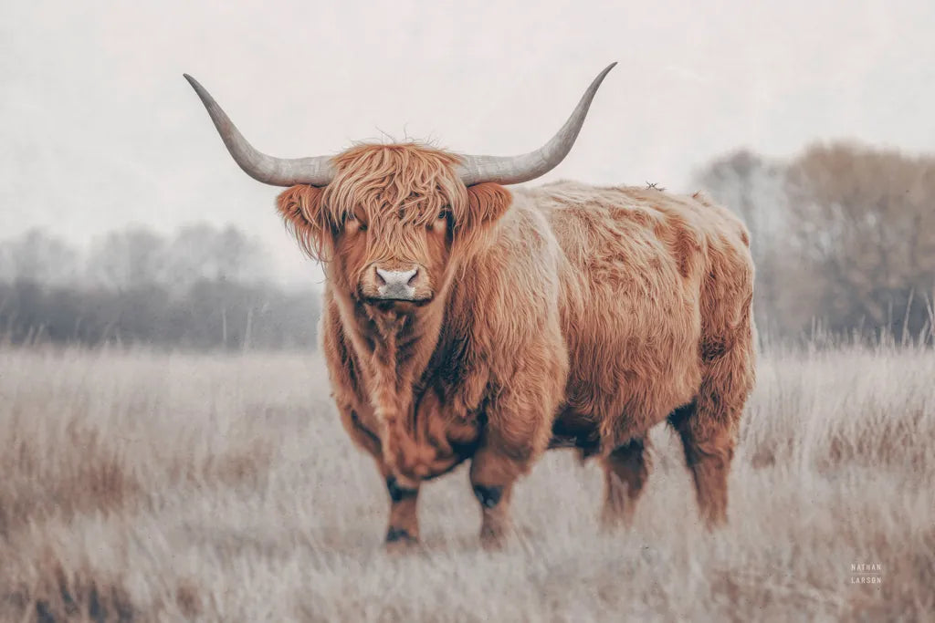 Center of Attention by Nathan Larson. SKU 96198i. Archival Giclee Fine art print for wall decor.