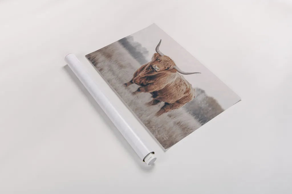 Center of Attention by Nathan Larson. shown as a rolled paper print. Available as archival giclee rolled canvas, fine art paper, or poster print. SKU 96198i.