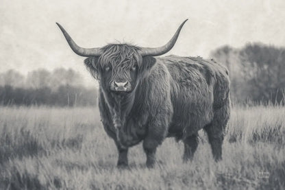 Center of Attention BW by Nathan Larson. SKU 96199i. Archival Giclee Fine art print for wall decor.