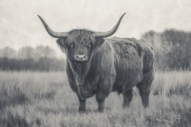 Center of Attention BW by Nathan Larson. SKU 96199i. Archival Giclee Fine art print for wall decor.