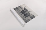 Center of Attention BW by Nathan Larson. shown as a rolled paper print. Available as archival giclee rolled canvas, fine art paper, or poster print. SKU 96199i.