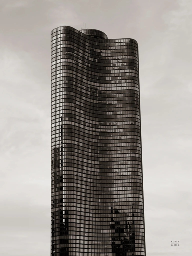 Chicago Skyline VI by Nathan Larson