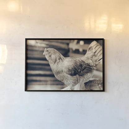 Chicken Barn I by Nathan Larson. shown as a paper print in a black flame. Available as a archival giclee rolled canvas, fine art paper, or poster print. SKU 97955i.