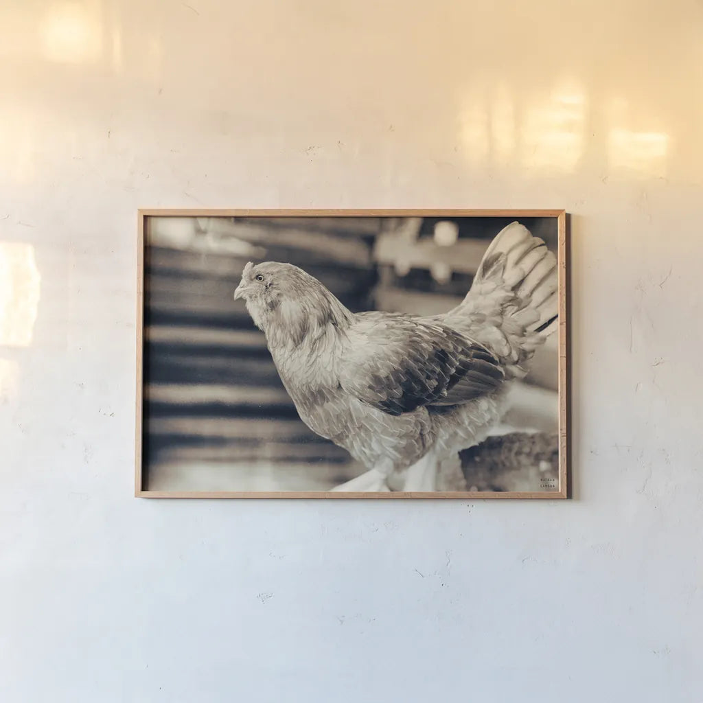 Chicken Barn I by Nathan Larson. shown as a paper print in a natural frame. Available as a archival giclee rolled canvas, fine art paper, or poster print. SKU 97955i.