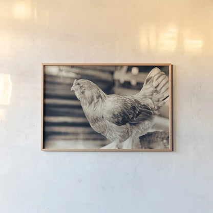 Chicken Barn I by Nathan Larson. shown as a paper print in a natural frame. Available as a archival giclee rolled canvas, fine art paper, or poster print. SKU 97955i.