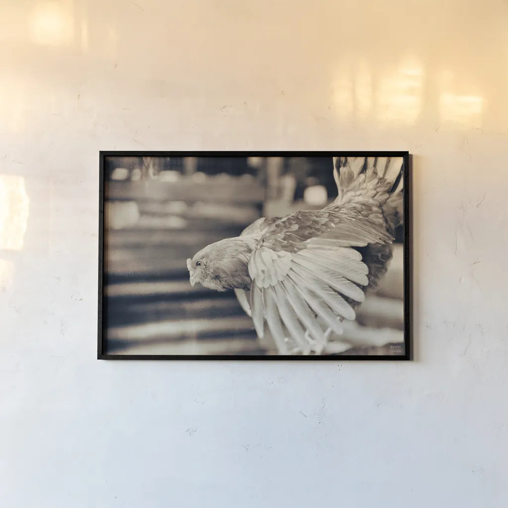 Chicken Barn II by Nathan Larson. shown as a paper print in a black flame. Available as a archival giclee rolled canvas, fine art paper, or poster print. SKU 97956i.