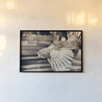 Chicken Barn II by Nathan Larson. shown as a paper print in a black flame. Available as a archival giclee rolled canvas, fine art paper, or poster print. SKU 97956i.