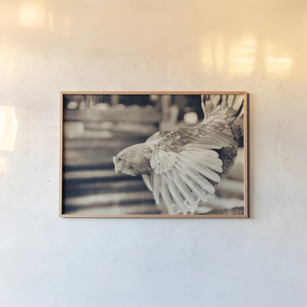 Chicken Barn II by Nathan Larson. shown as a paper print in a natural frame. Available as a archival giclee rolled canvas, fine art paper, or poster print. SKU 97956i.