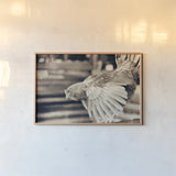Chicken Barn II by Nathan Larson. shown as a paper print in a natural frame. Available as a archival giclee rolled canvas, fine art paper, or poster print. SKU 97956i.