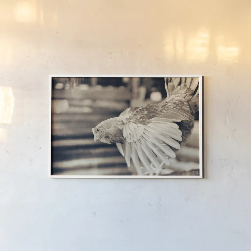 Chicken Barn II by Nathan Larson. shown as a paper print in a white frame. Available as a archival giclee rolled canvas, fine art paper, or poster print. SKU 97956i.