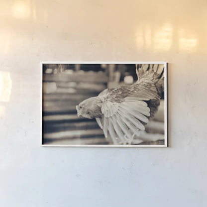 Chicken Barn II by Nathan Larson. shown as a paper print in a white frame. Available as a archival giclee rolled canvas, fine art paper, or poster print. SKU 97956i.