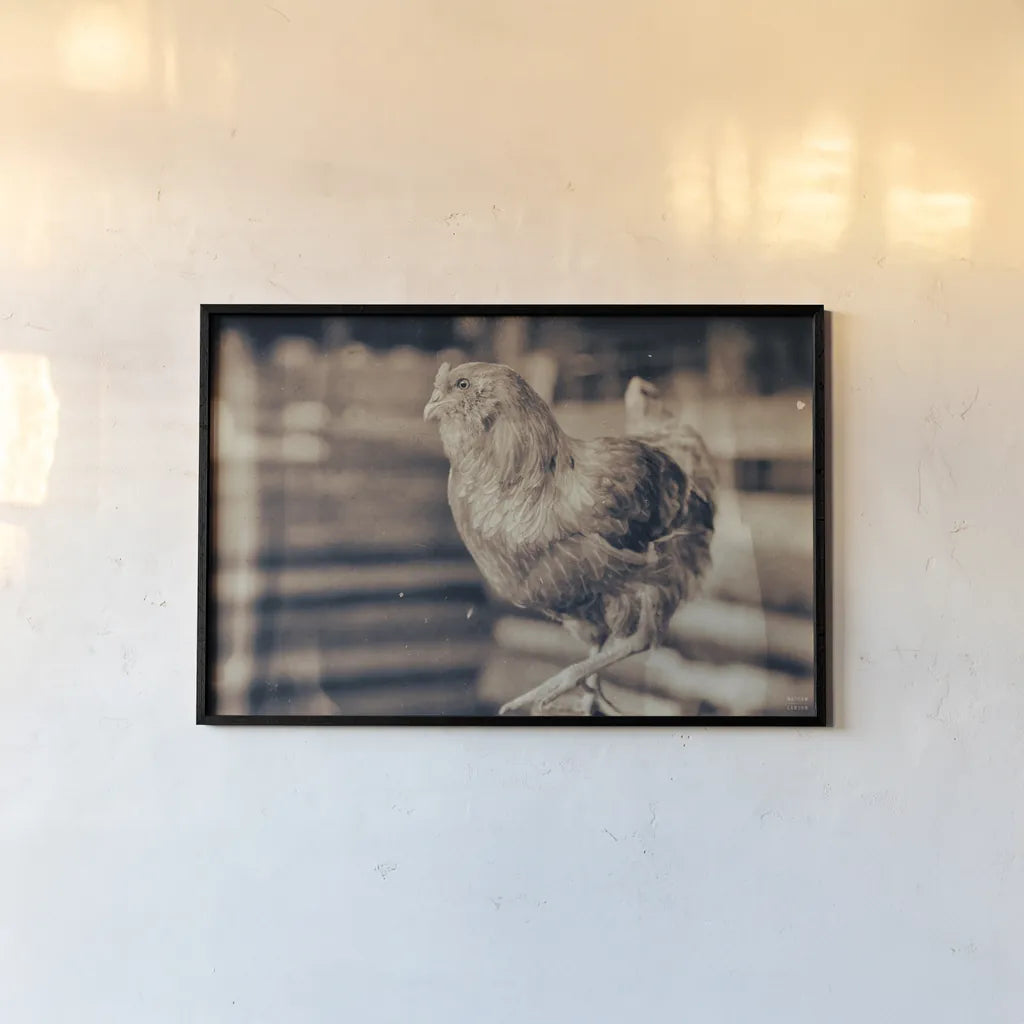 Chicken Barn III by Nathan Larson. shown as a paper print in a black flame. Available as a archival giclee rolled canvas, fine art paper, or poster print. SKU 97957i.